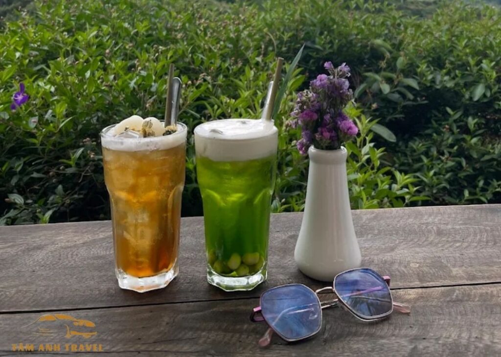 Cafe trong rừng Mimosa