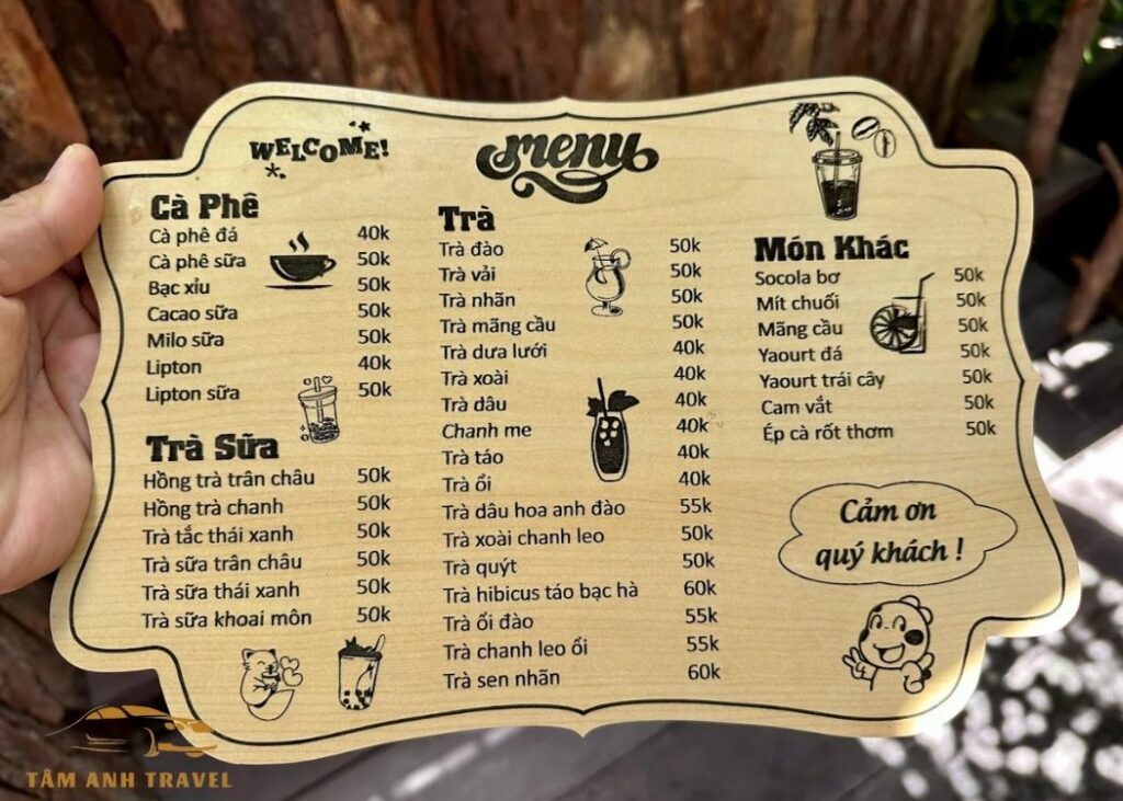 Cafe trong rừng Mimosa