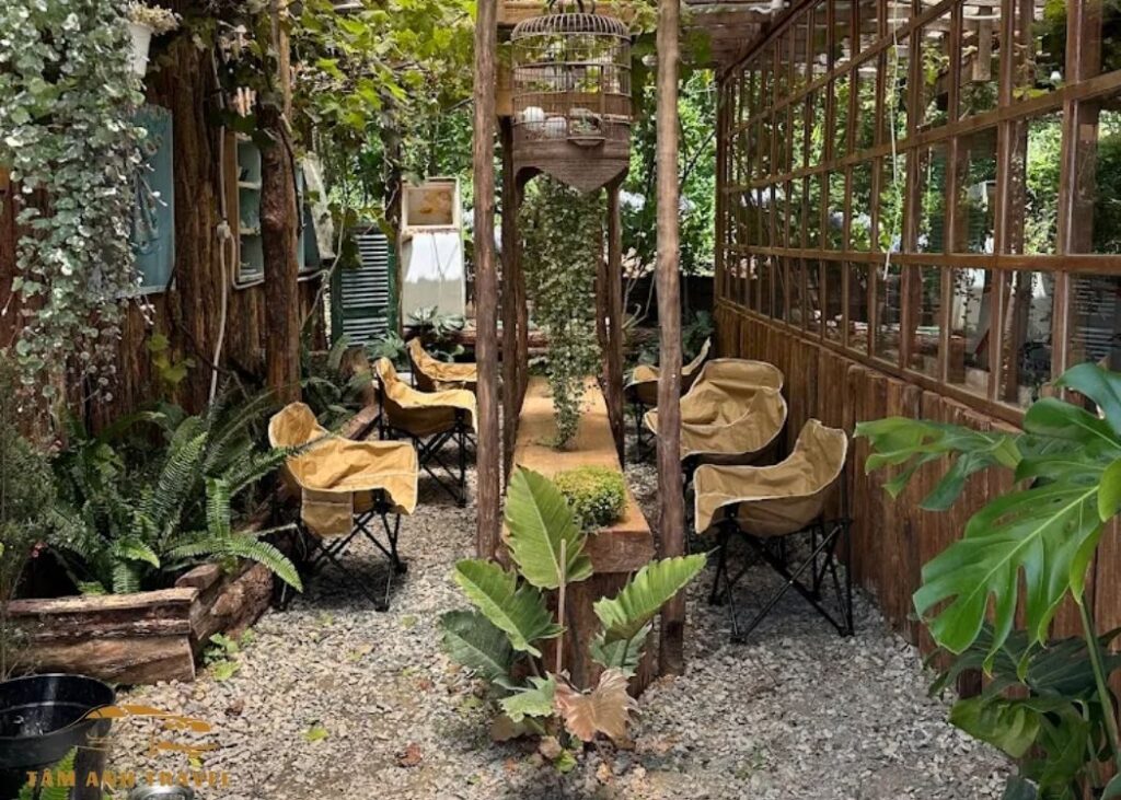 Cafe trong rừng Mimosa