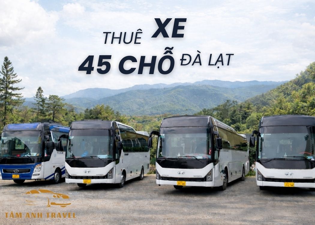 Bảng giá thuê xe 45 chỗ Đà Lạt mới nhất 2026
