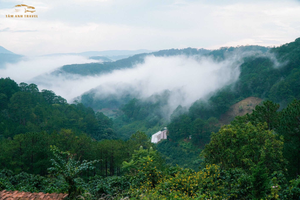 hidden land