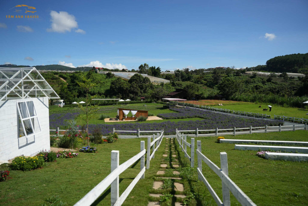 thung mơ garden