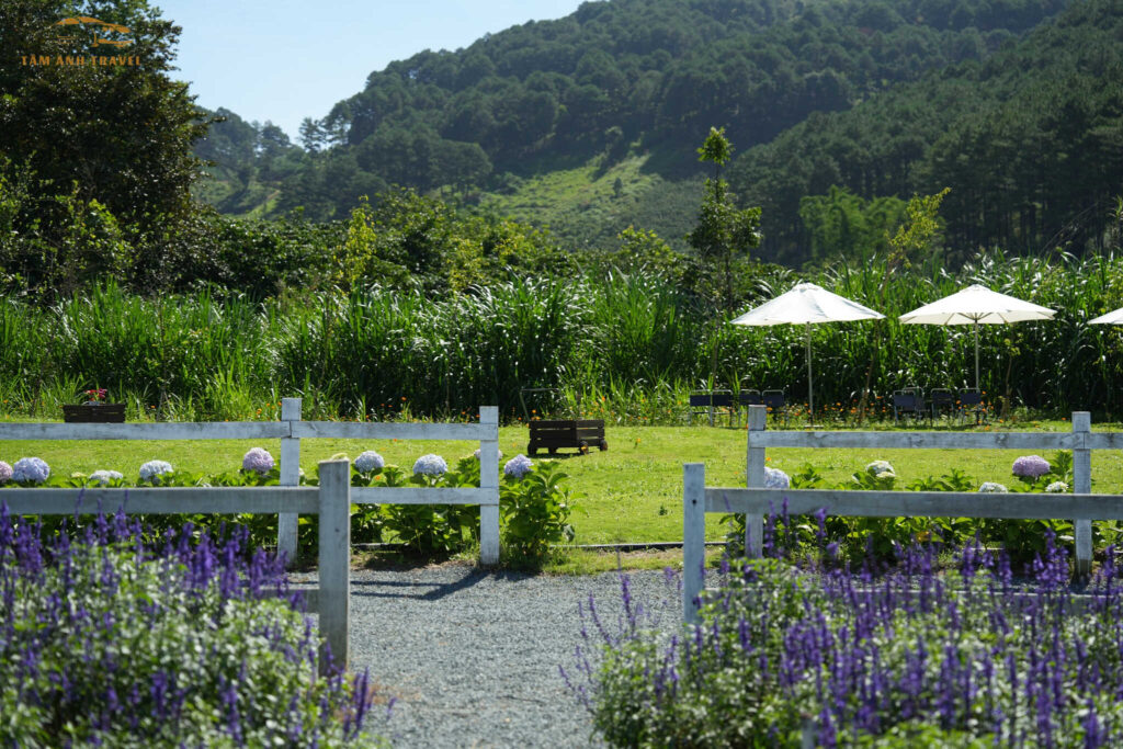 thung mơ garden