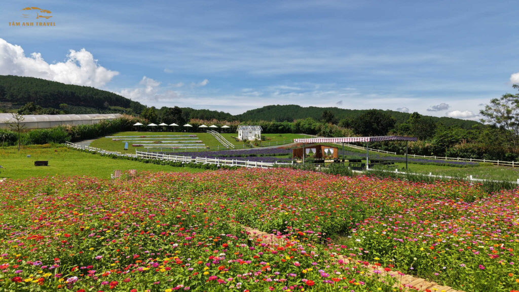 thung mơ garden