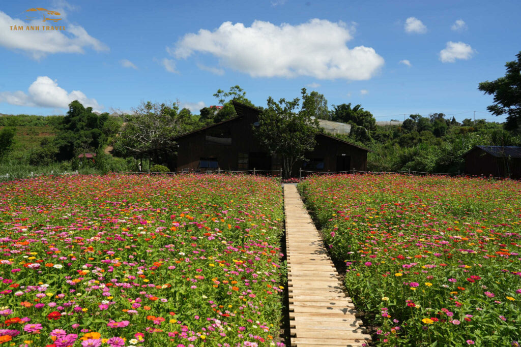 thung mơ garden