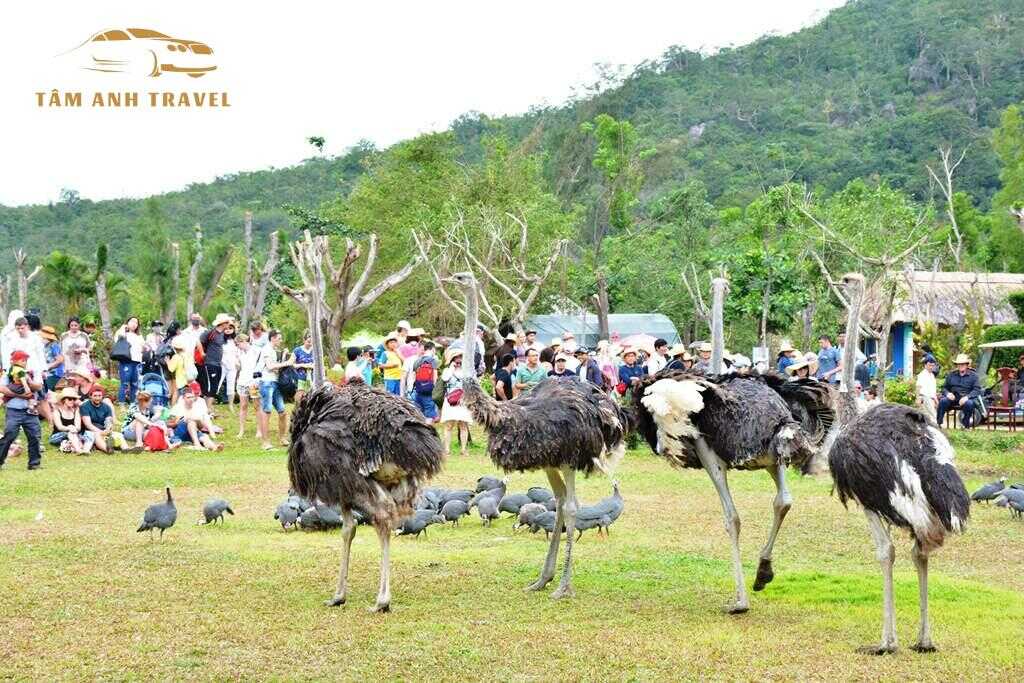 Đảo Hoa Lan