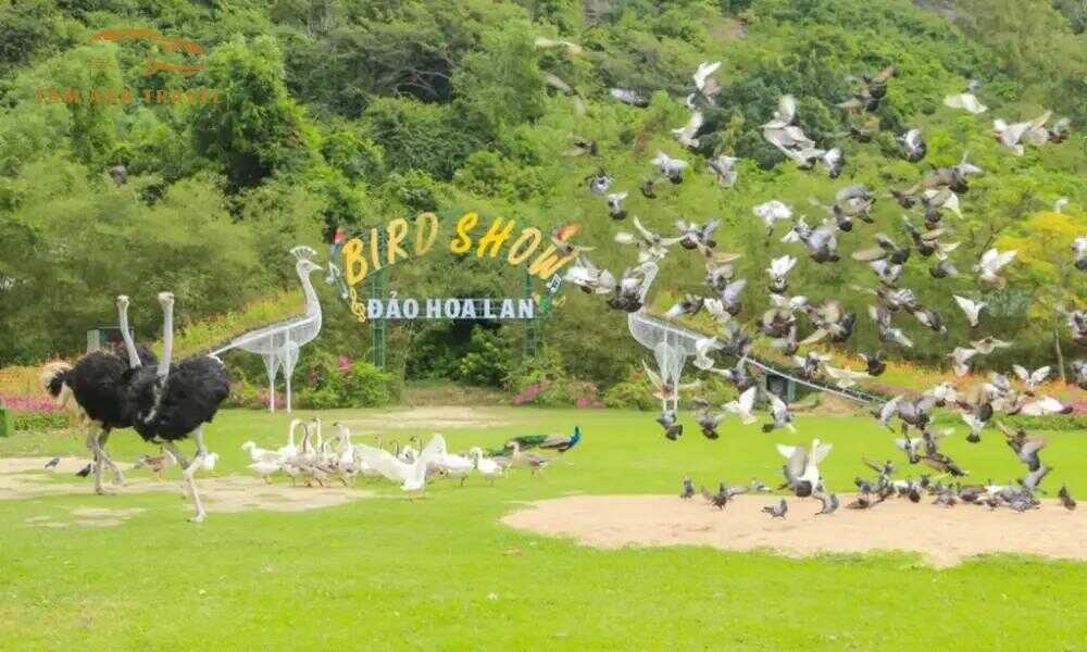Đảo Hoa Lan
