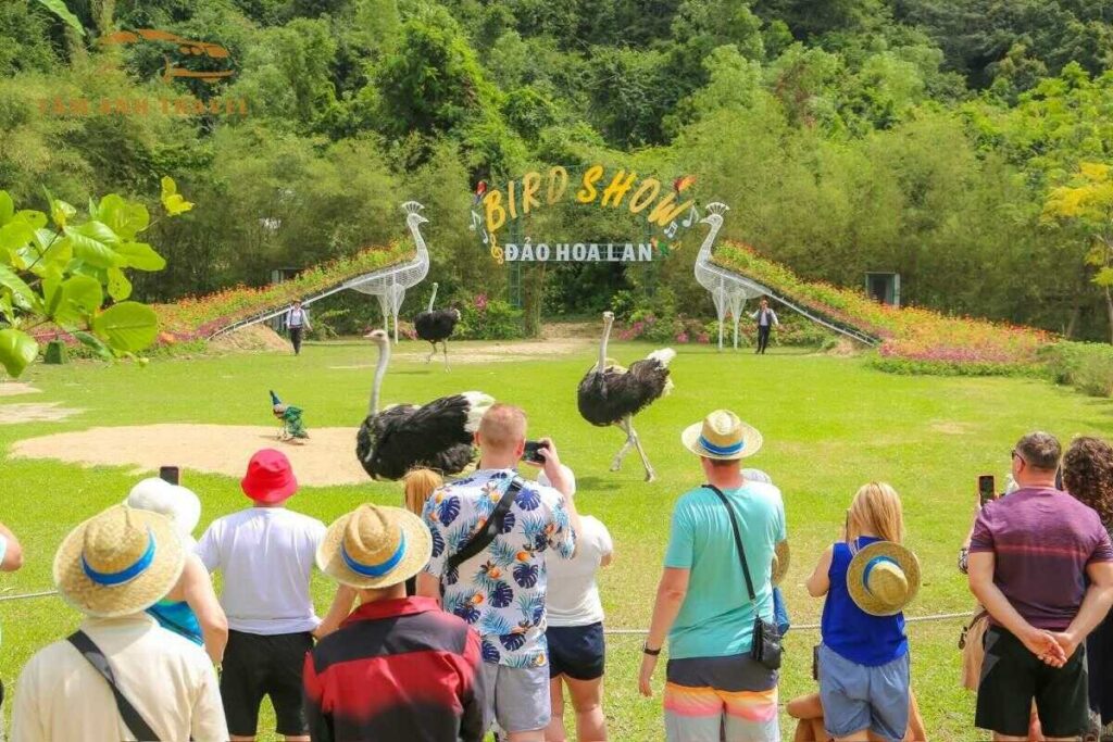 Đảo Hoa Lan