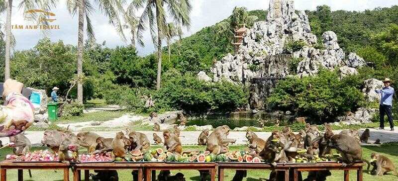 Đảo Khỉ Nha Trang