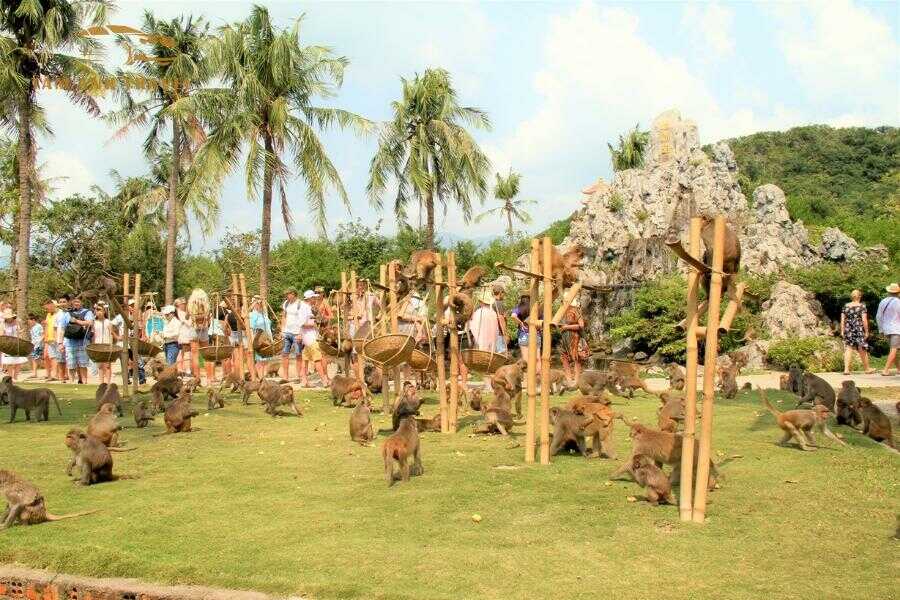 Đảo Khỉ Nha Trang